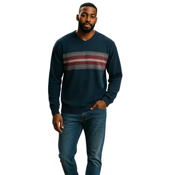 Banana Republic V-neck Pullover Sweater 100% Cotton Men's Size Large Striped - Picture 10 of 10